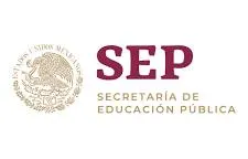 Diplomado Lashista Extensiones de Pestañas Litsea